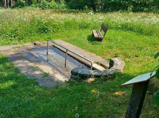 Vogelsberger Zirbenstueberl Grebenhain